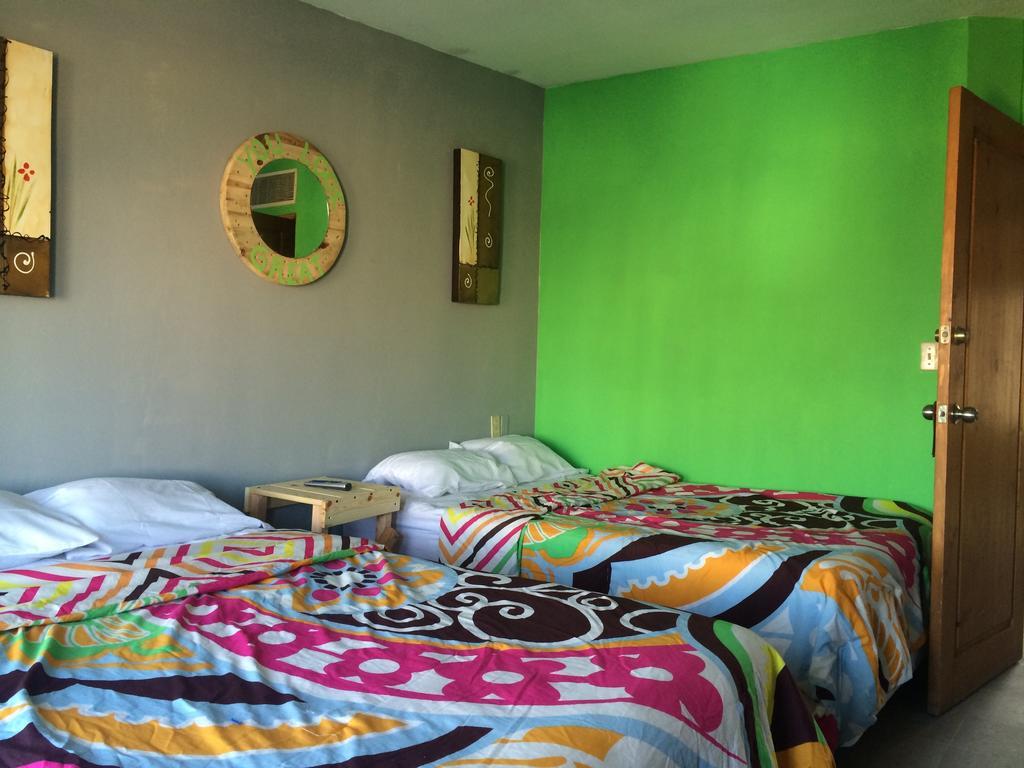 Bajas Cactus Hostel Cabo San Lucas Oda fotoğraf