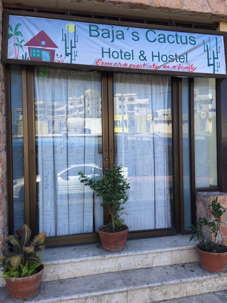 Bajas Cactus Hostel Cabo San Lucas Dış mekan fotoğraf
