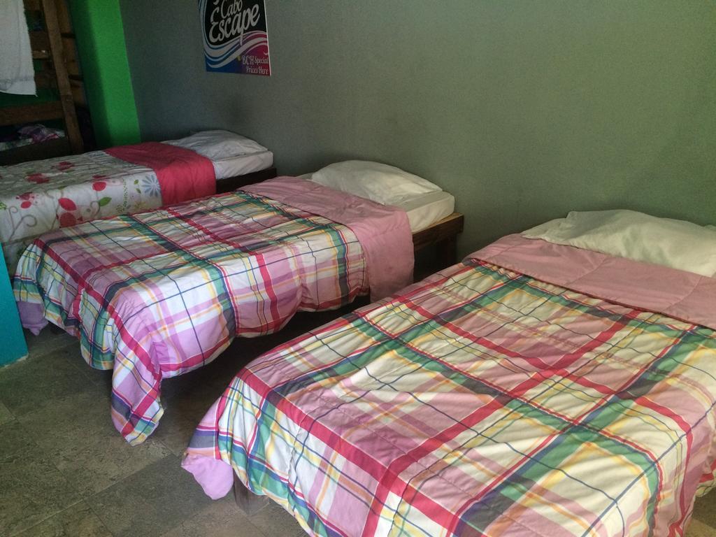 Bajas Cactus Hostel Cabo San Lucas Oda fotoğraf