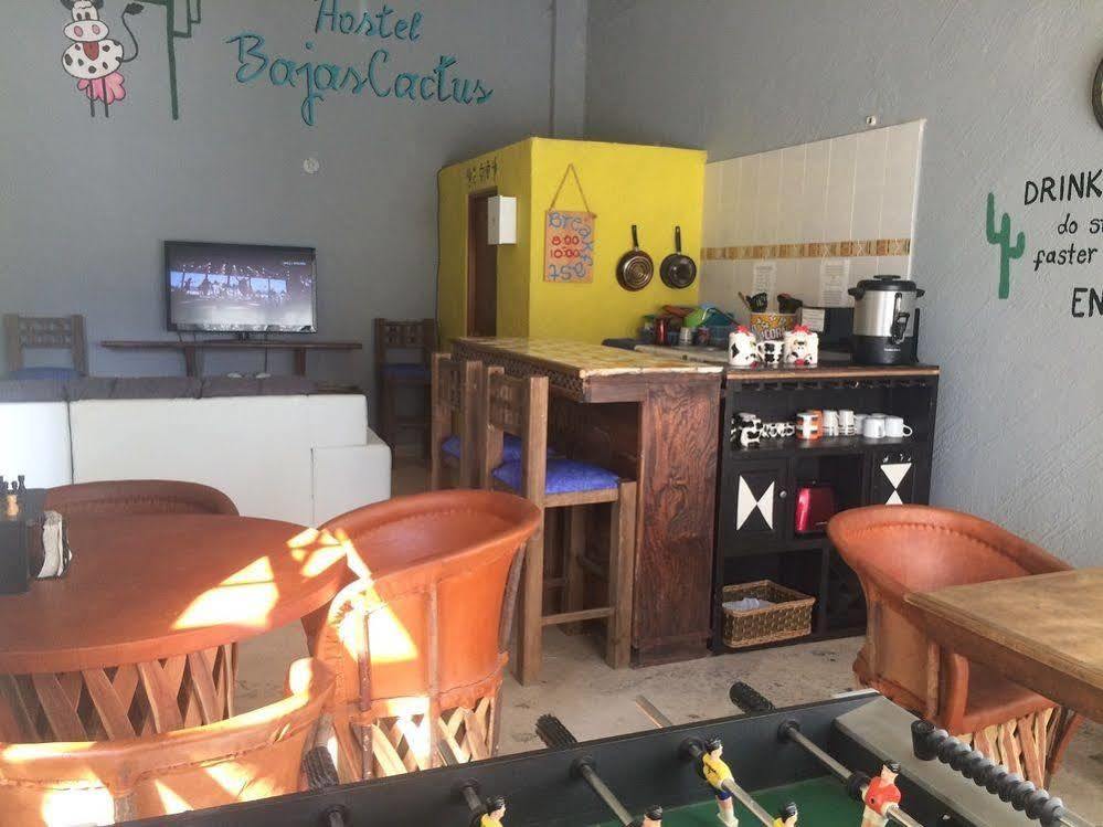 Bajas Cactus Hostel Cabo San Lucas Dış mekan fotoğraf