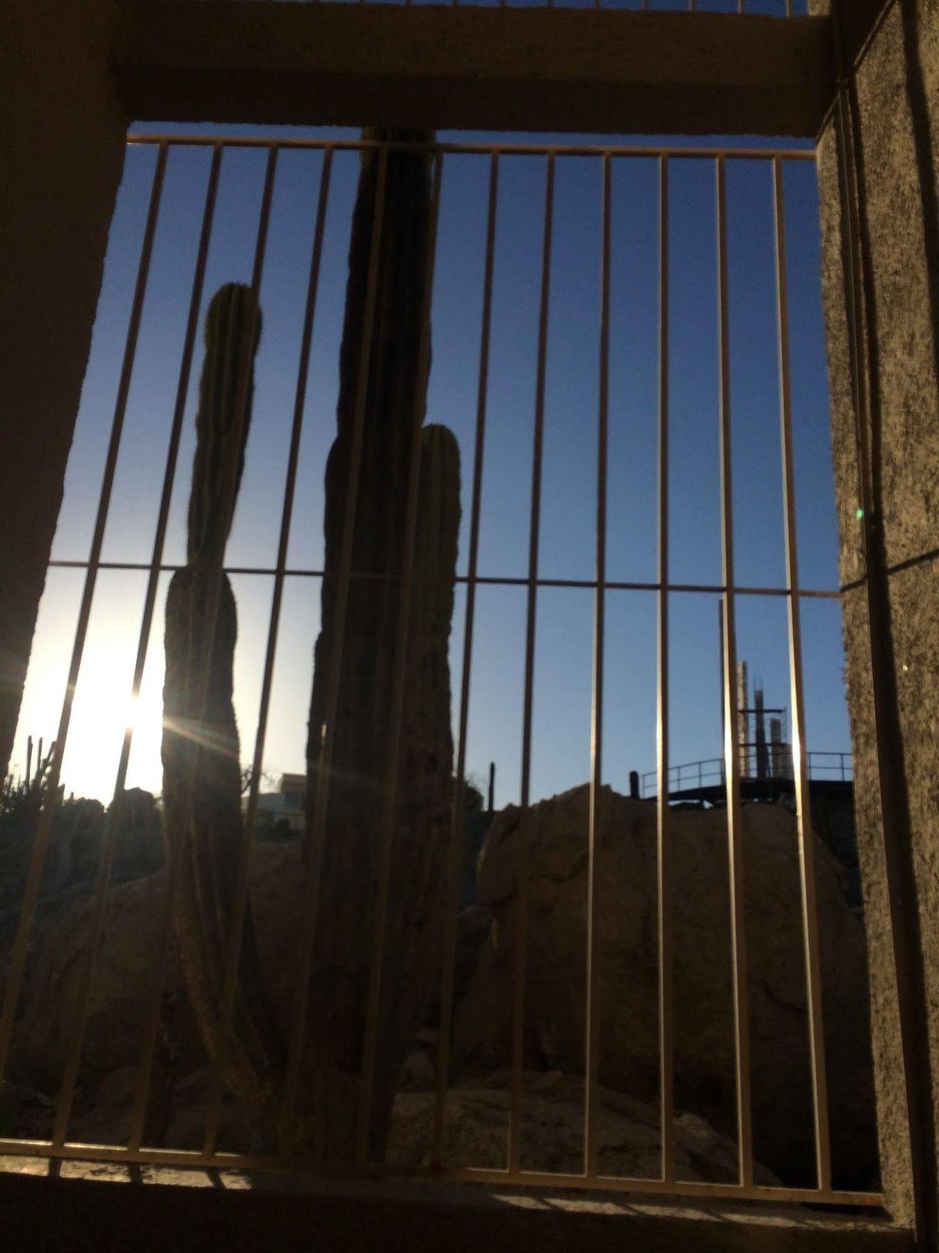 Bajas Cactus Hostel Cabo San Lucas Dış mekan fotoğraf
