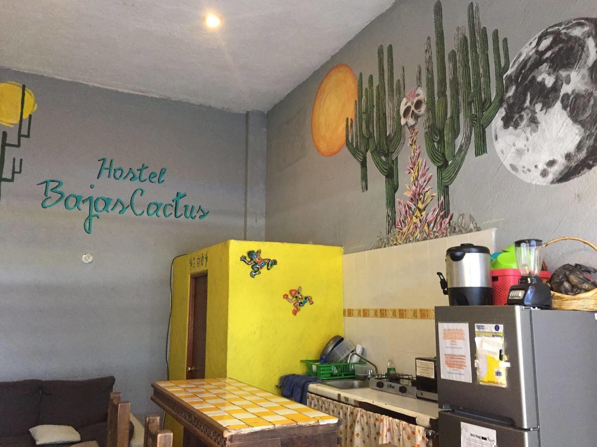 Bajas Cactus Hostel Cabo San Lucas Dış mekan fotoğraf