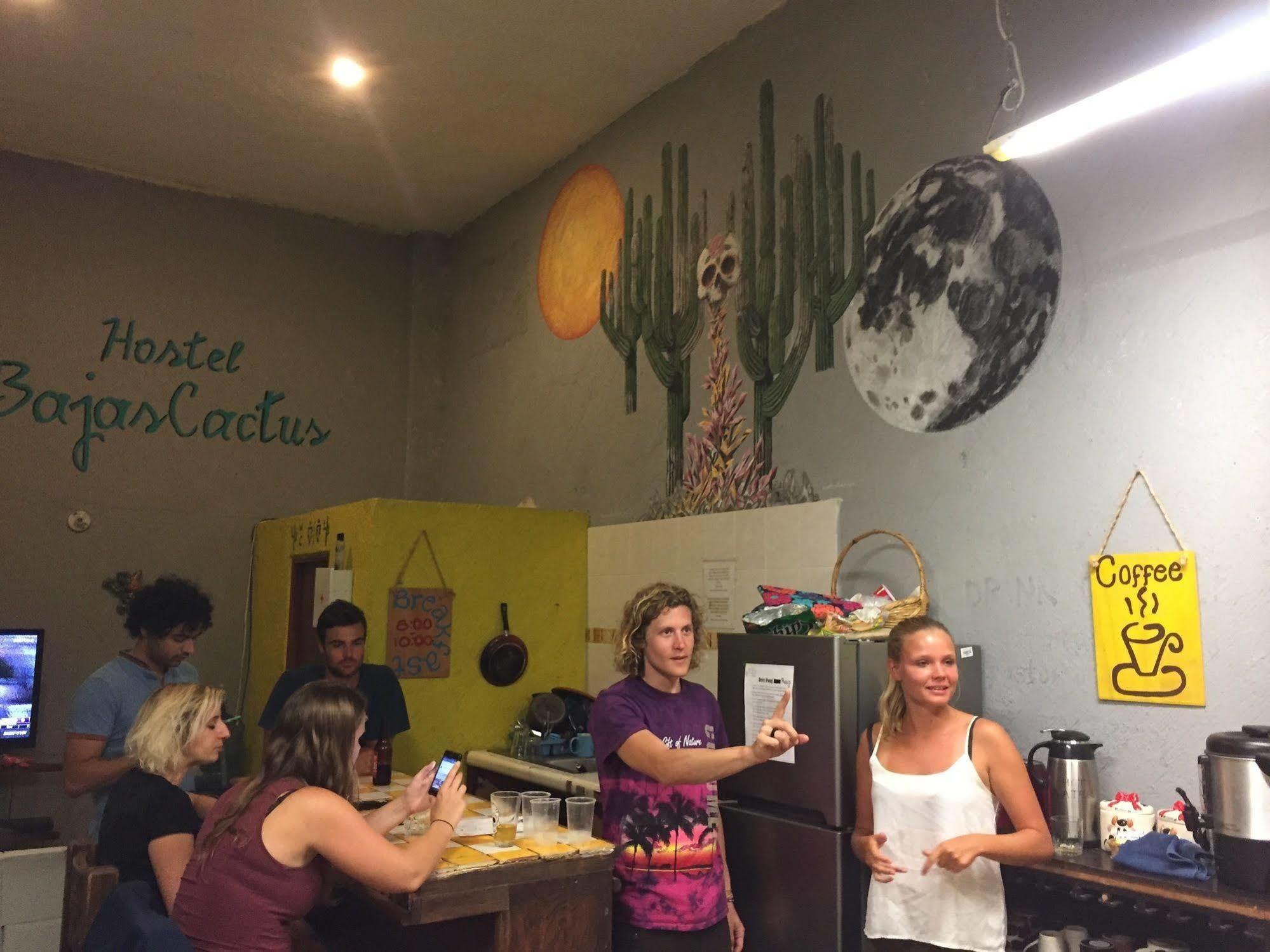 Bajas Cactus Hostel Cabo San Lucas Dış mekan fotoğraf
