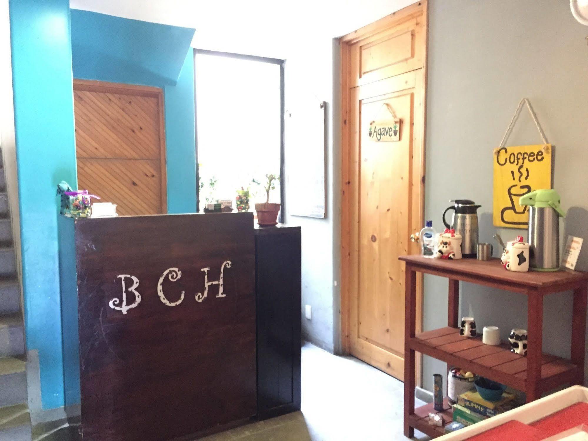 Bajas Cactus Hostel Cabo San Lucas Dış mekan fotoğraf