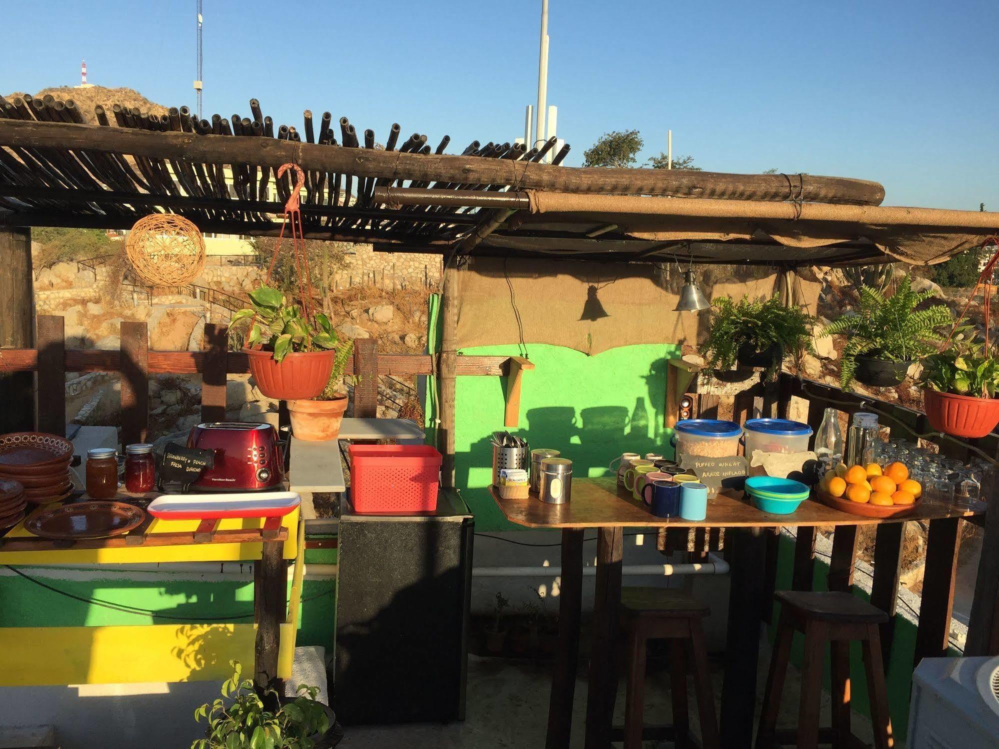 Bajas Cactus Hostel Cabo San Lucas Dış mekan fotoğraf