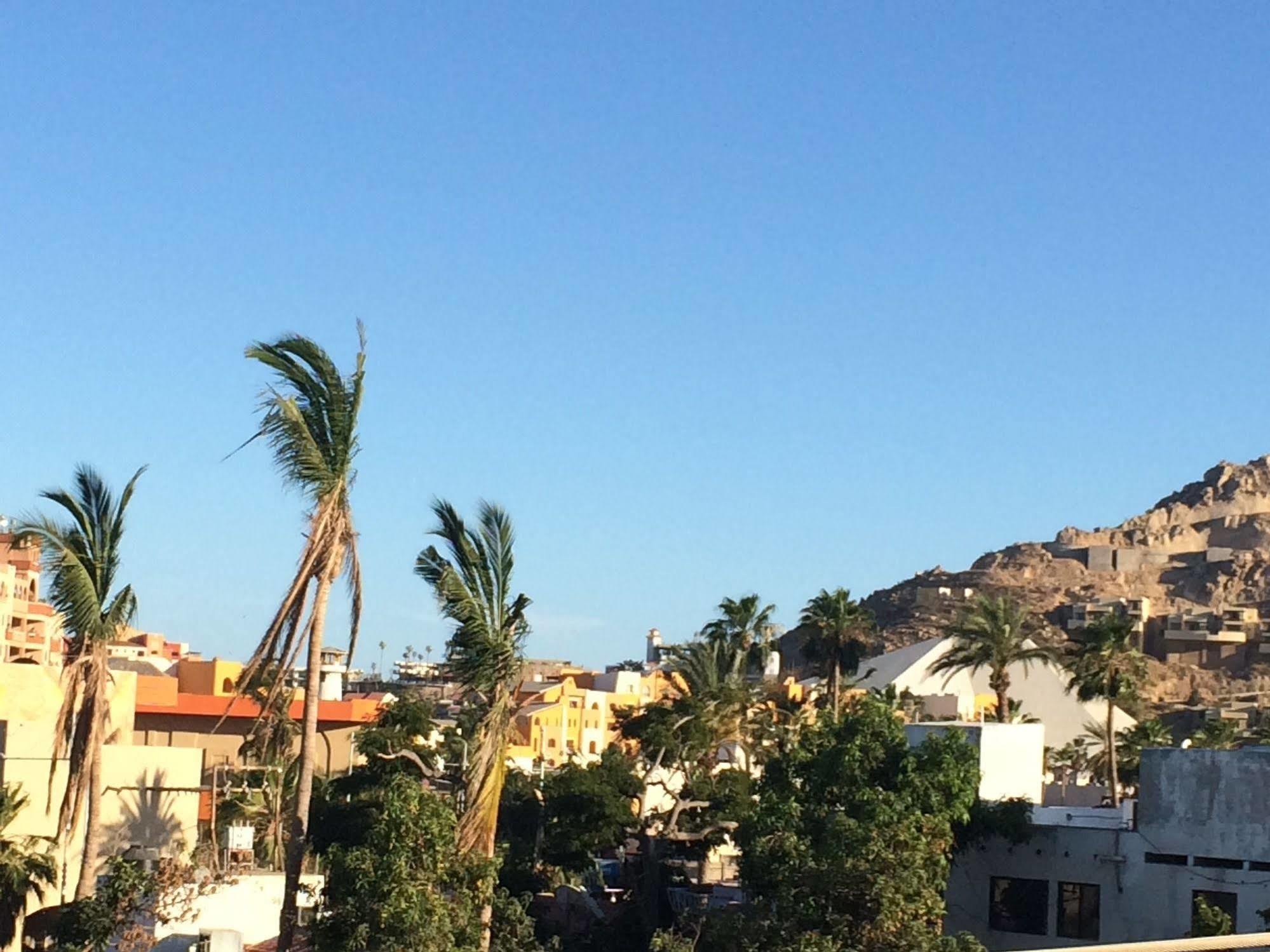Bajas Cactus Hostel Cabo San Lucas Dış mekan fotoğraf