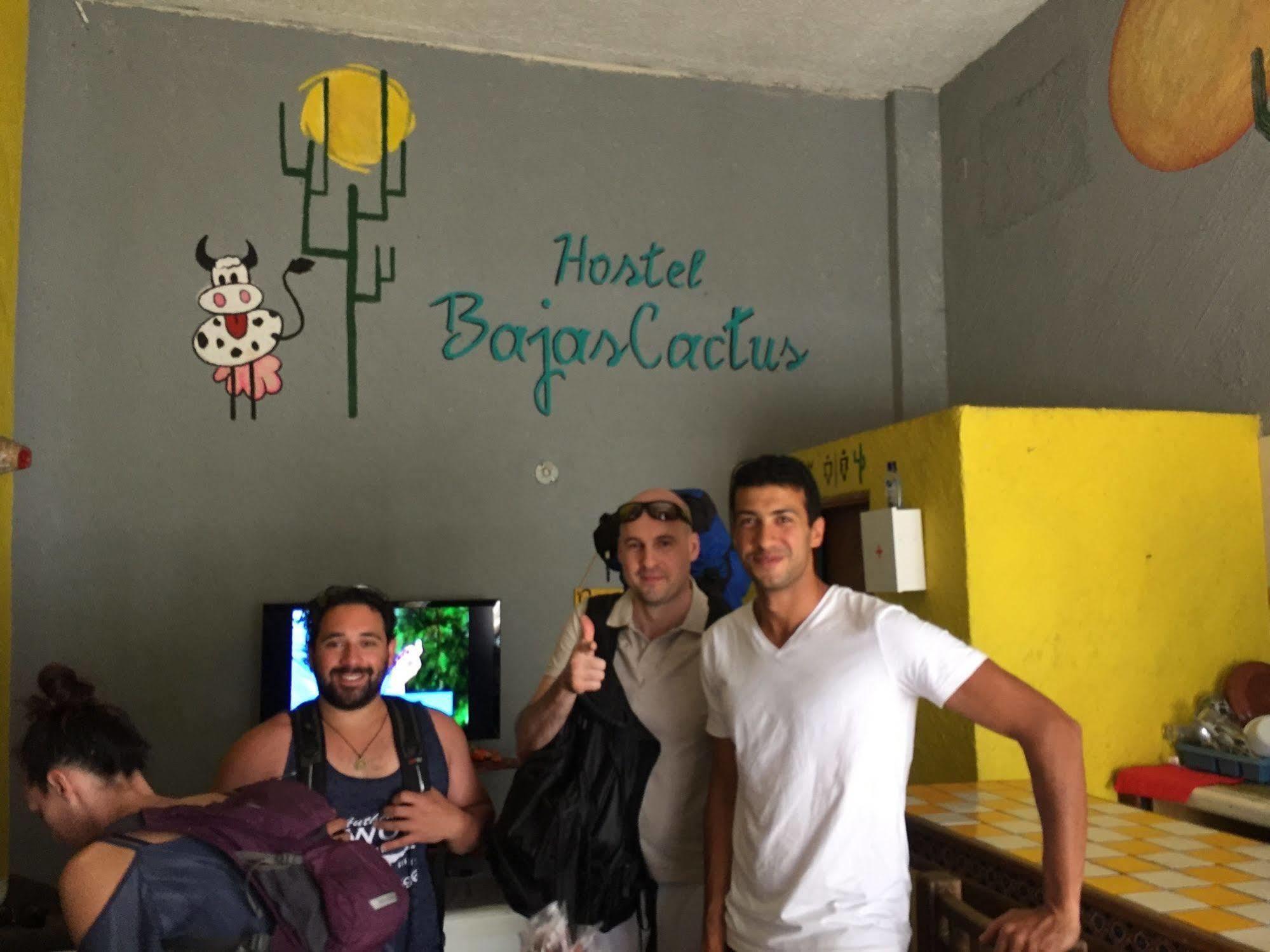 Bajas Cactus Hostel Cabo San Lucas Dış mekan fotoğraf