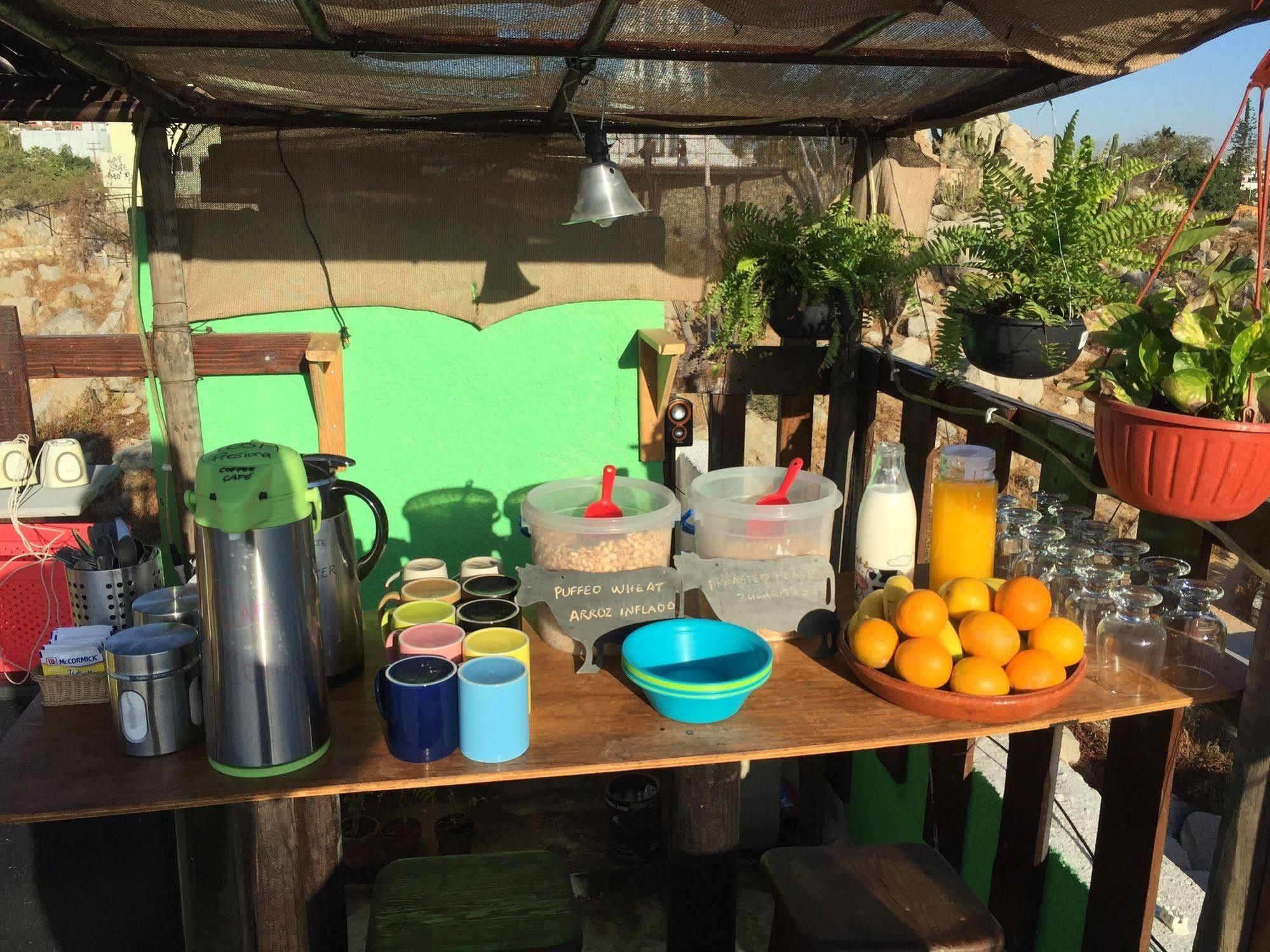 Bajas Cactus Hostel Cabo San Lucas Dış mekan fotoğraf