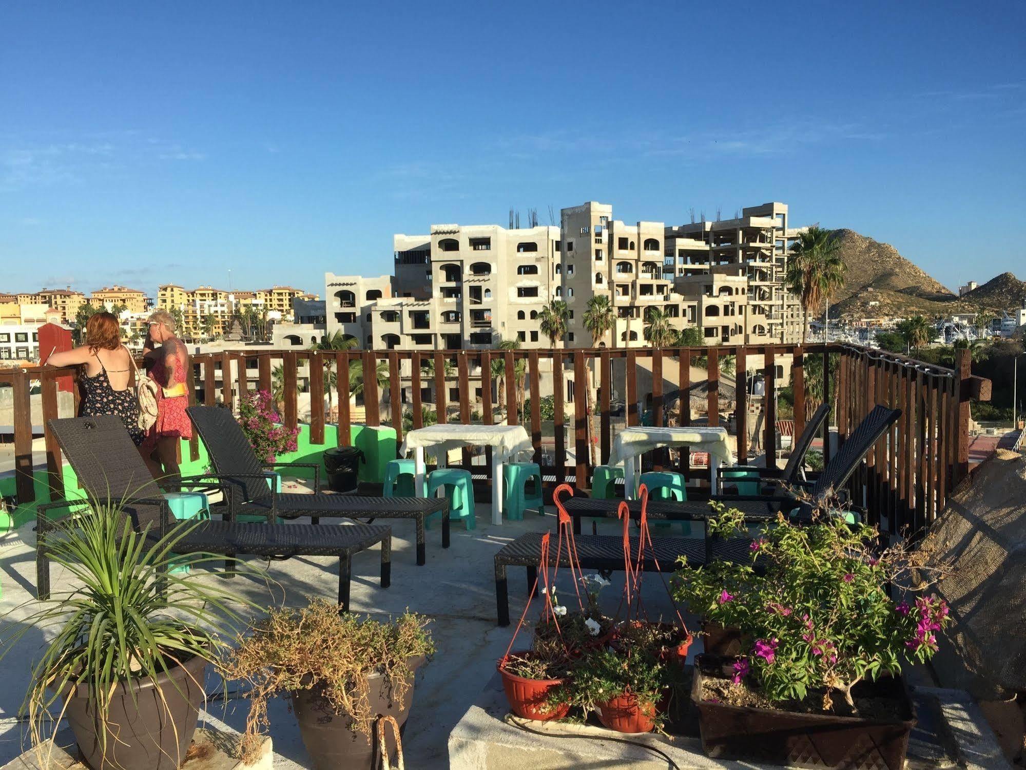 Bajas Cactus Hostel Cabo San Lucas Dış mekan fotoğraf