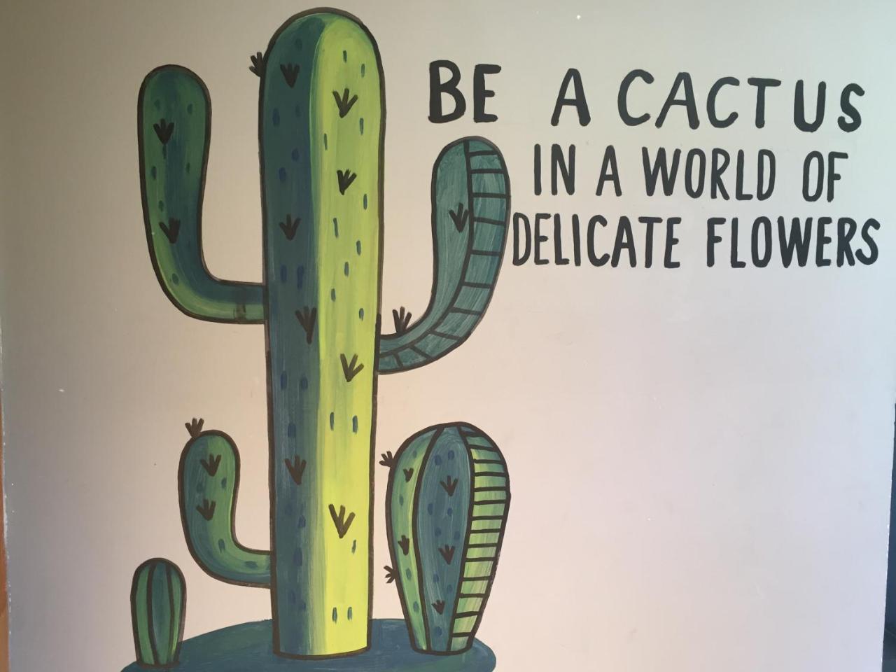 Bajas Cactus Hostel Cabo San Lucas Dış mekan fotoğraf