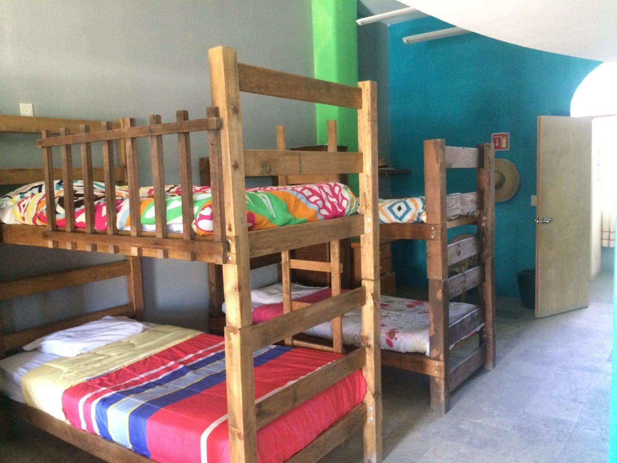 Bajas Cactus Hostel Cabo San Lucas Dış mekan fotoğraf