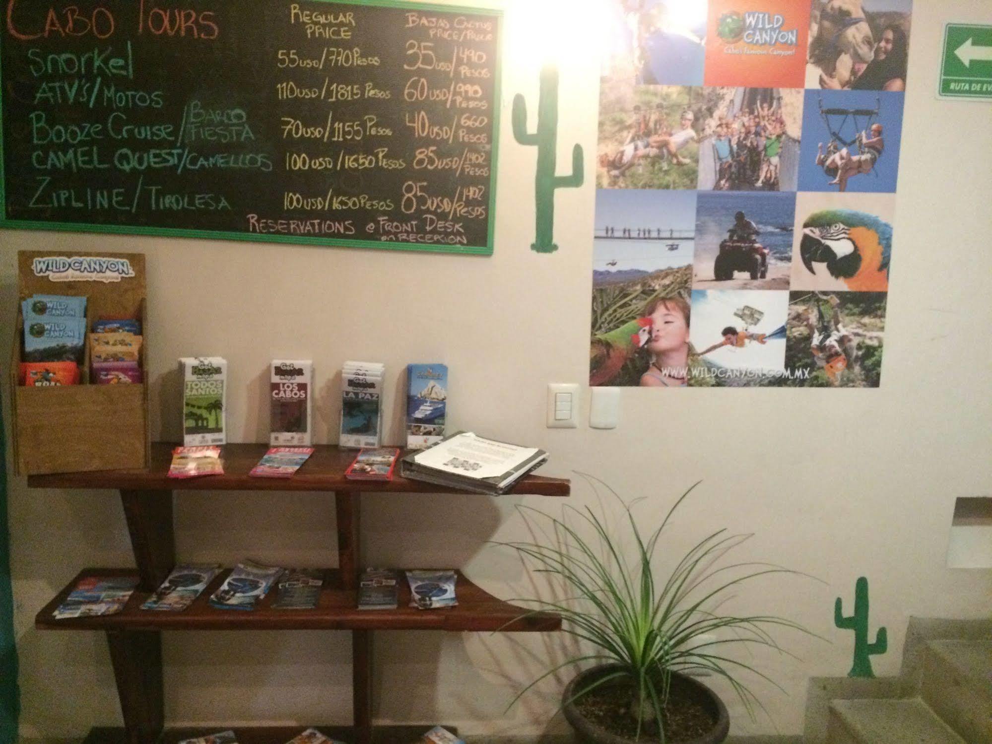 Bajas Cactus Hostel Cabo San Lucas Dış mekan fotoğraf