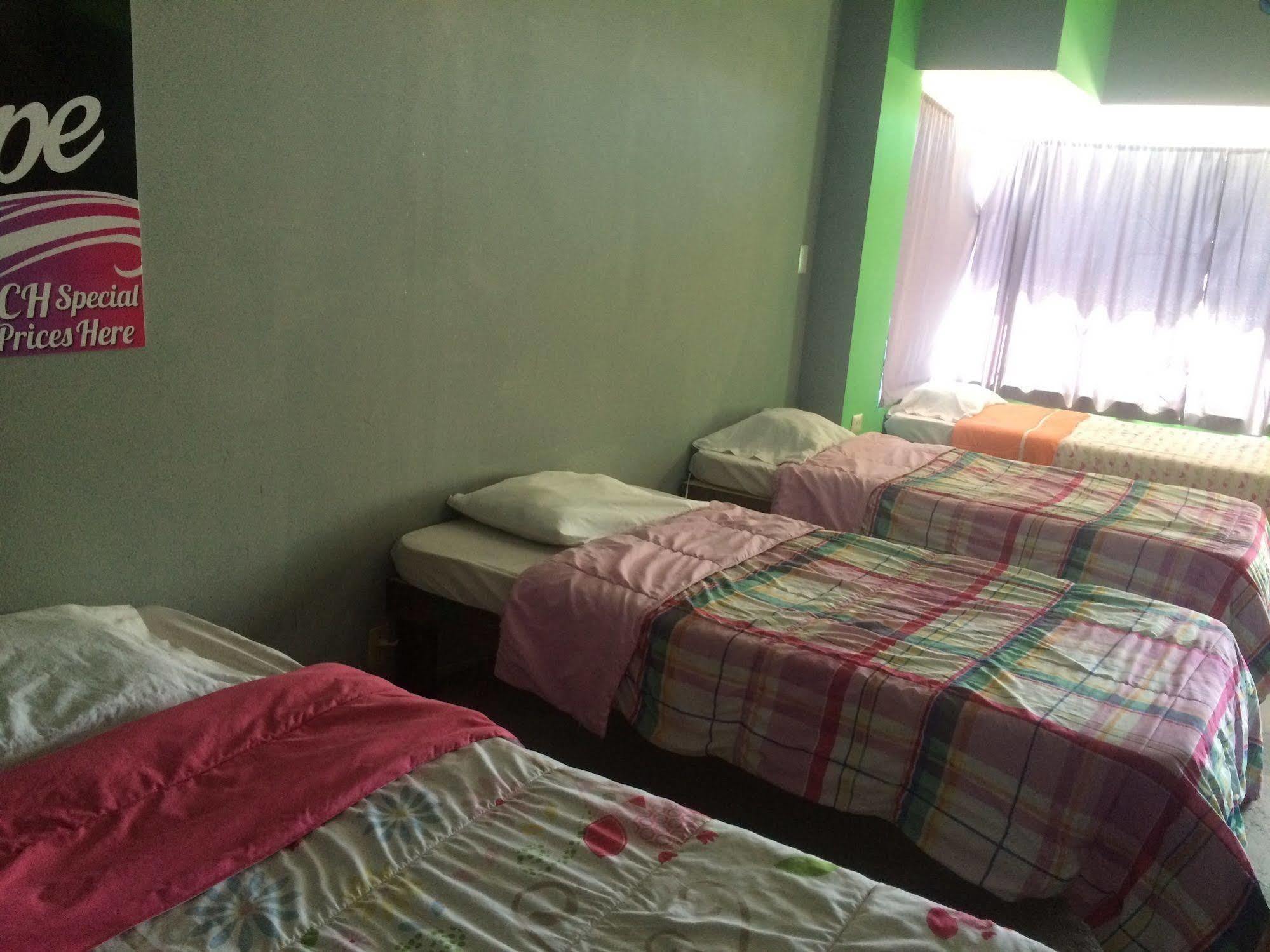 Bajas Cactus Hostel Cabo San Lucas Dış mekan fotoğraf