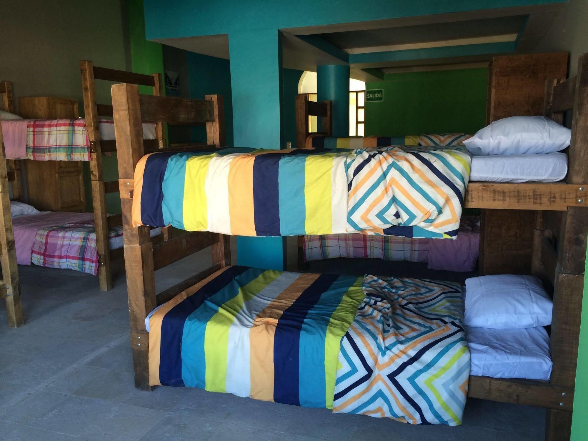 Bajas Cactus Hostel Cabo San Lucas Dış mekan fotoğraf