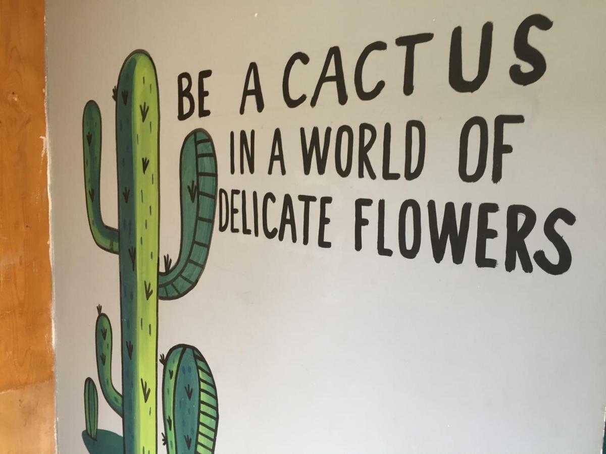 Bajas Cactus Hostel Cabo San Lucas Dış mekan fotoğraf